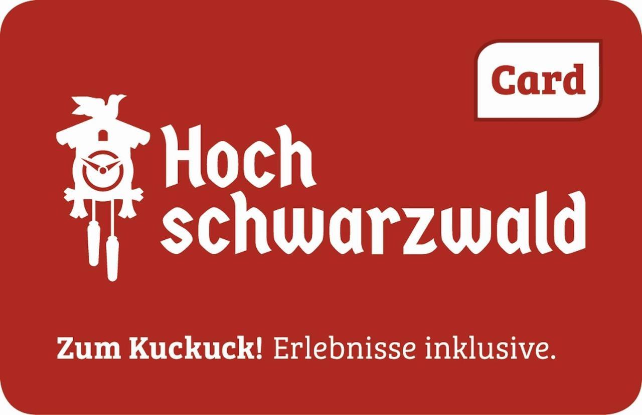 Myschluchseehome Gemuetliche Ferienwohnung Mit Suedbalkon Und Pool Im Haus Buitenkant foto